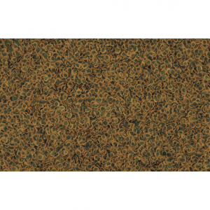 tetrapro-algues poisson ornement